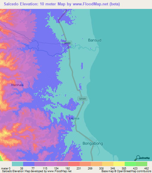 Salcedo,Philippines Elevation Map