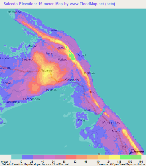 Salcedo,Philippines Elevation Map