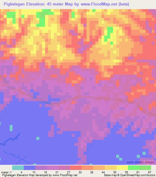 Pigkelegan,Philippines Elevation Map