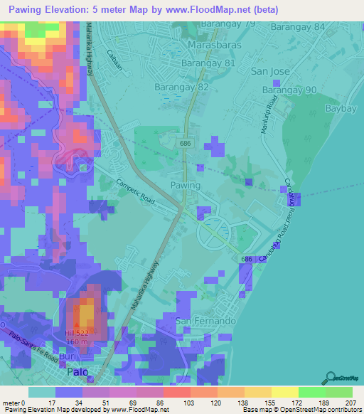 Pawing,Philippines Elevation Map