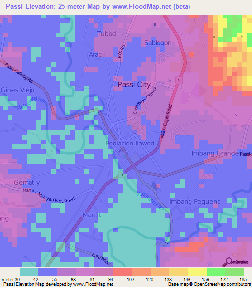Passi,Philippines Elevation Map