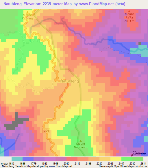 Natubleng,Philippines Elevation Map