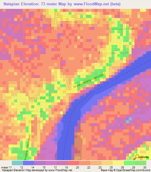 Natapian,Philippines Elevation Map