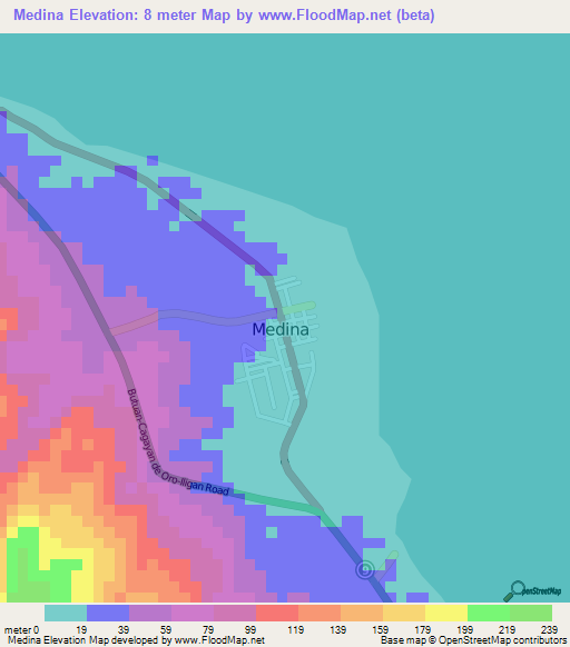 Medina,Philippines Elevation Map