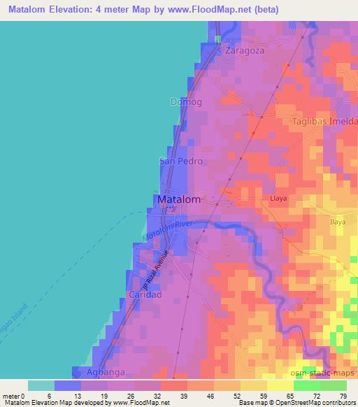 Matalom,Philippines Elevation Map