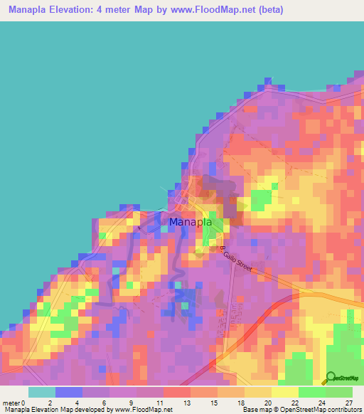 Manapla,Philippines Elevation Map