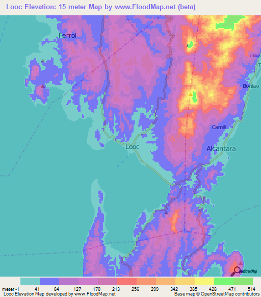Looc,Philippines Elevation Map
