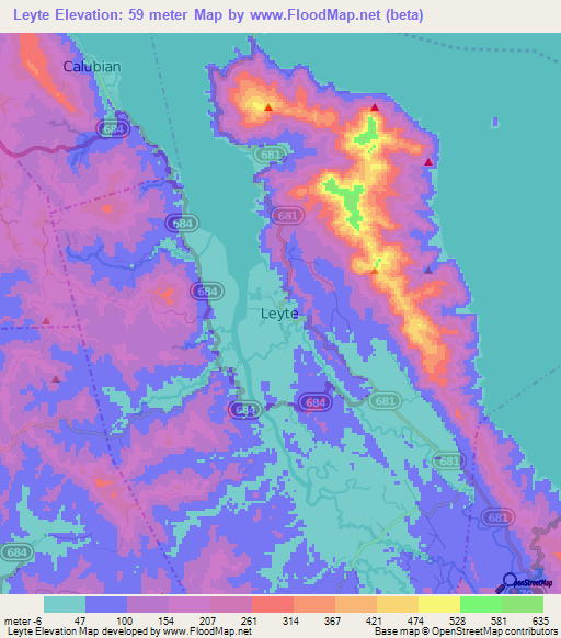 Leyte,Philippines Elevation Map