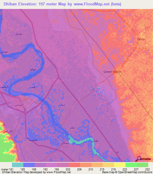 Dhiban,Syria Elevation Map