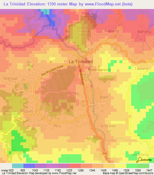 La Trinidad,Philippines Elevation Map