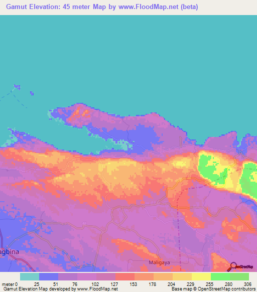 Gamut,Philippines Elevation Map