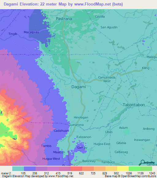 Dagami,Philippines Elevation Map