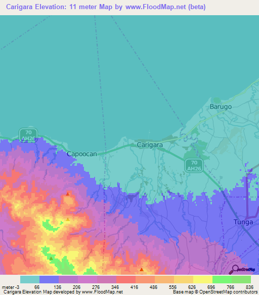 Carigara,Philippines Elevation Map