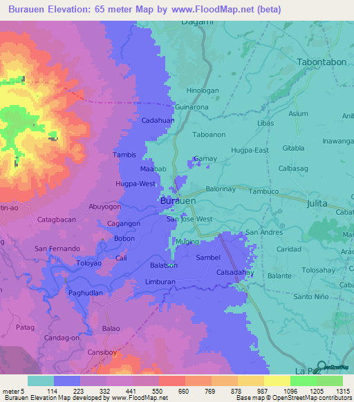 Burauen,Philippines Elevation Map