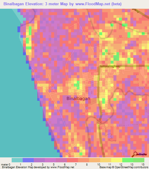 Binalbagan,Philippines Elevation Map