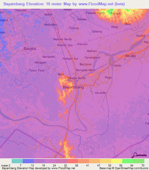 Bayambang,Philippines Elevation Map