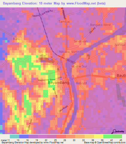 Bayambang,Philippines Elevation Map