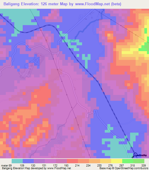 Baligang,Philippines Elevation Map