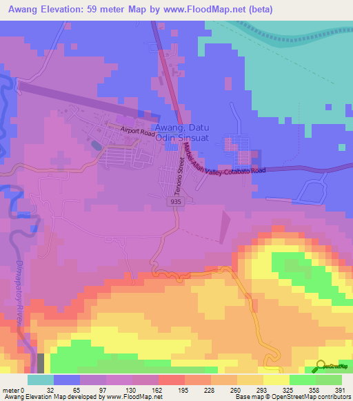 Awang,Philippines Elevation Map