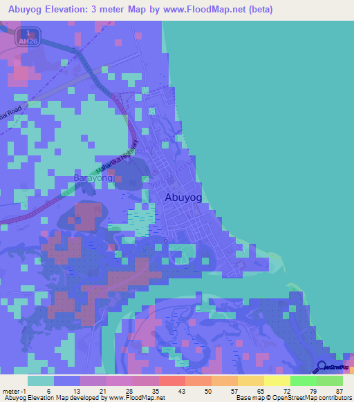 Abuyog,Philippines Elevation Map
