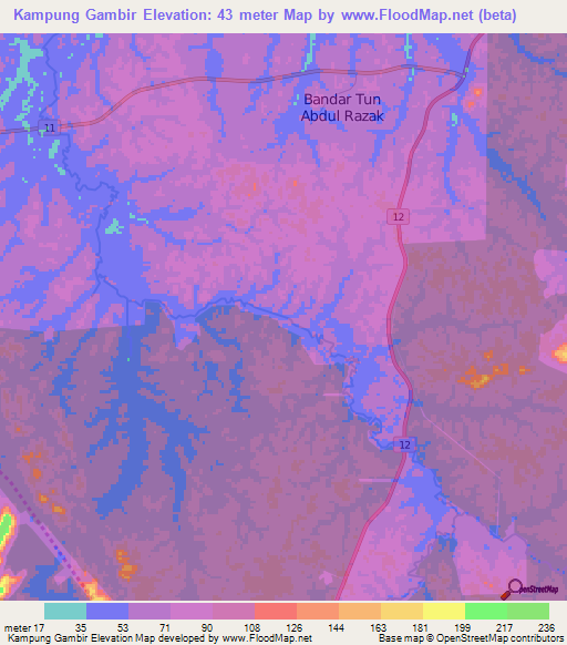 Kampung Gambir,Malaysia Elevation Map