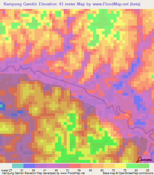 Kampung Gambir,Malaysia Elevation Map