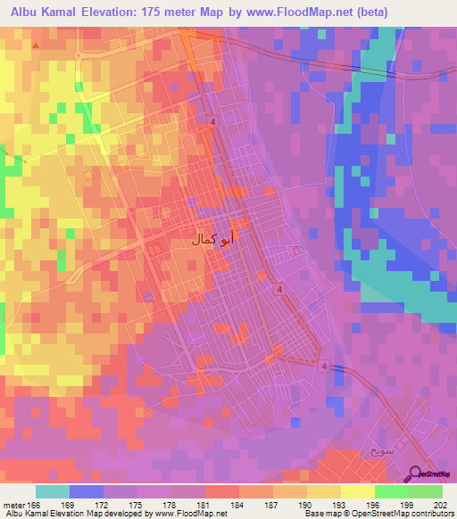 Albu Kamal,Syria Elevation Map