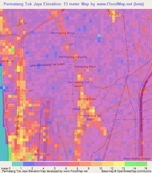 Permatang Tok Jaya,Malaysia Elevation Map