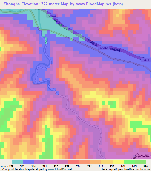 Zhongba,China Elevation Map