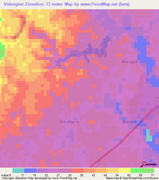 Vidungeni,Kenya Elevation Map