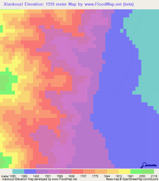 Xiaokouzi,China Elevation Map