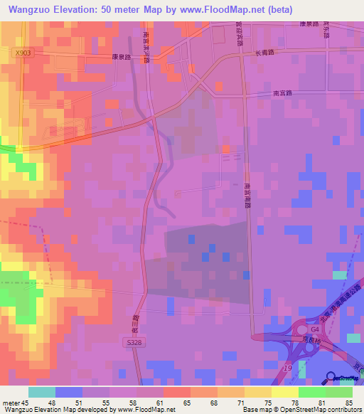 Wangzuo,China Elevation Map