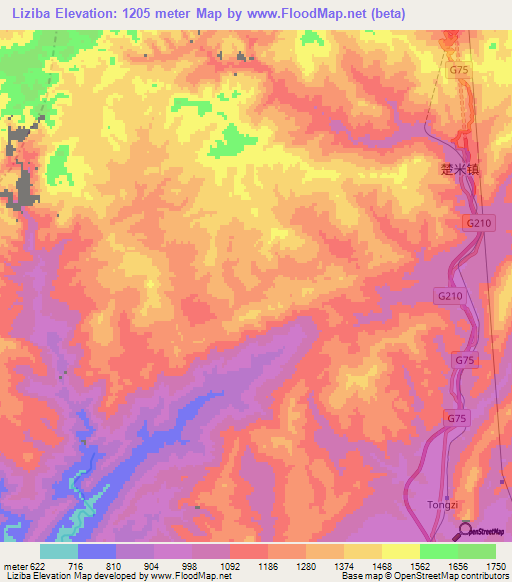 Liziba,China Elevation Map