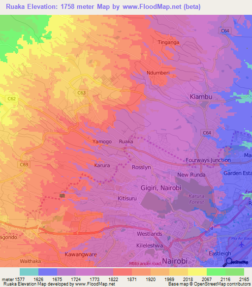 Ruaka,Kenya Elevation Map