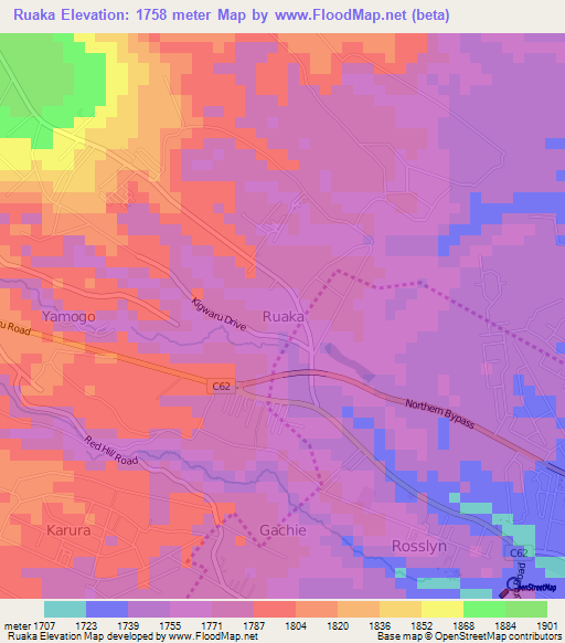 Ruaka,Kenya Elevation Map