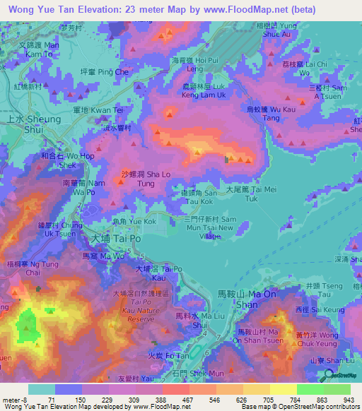 Wong Yue Tan,Hong Kong Elevation Map