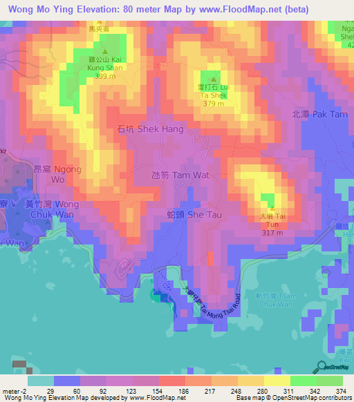 Wong Mo Ying,Hong Kong Elevation Map