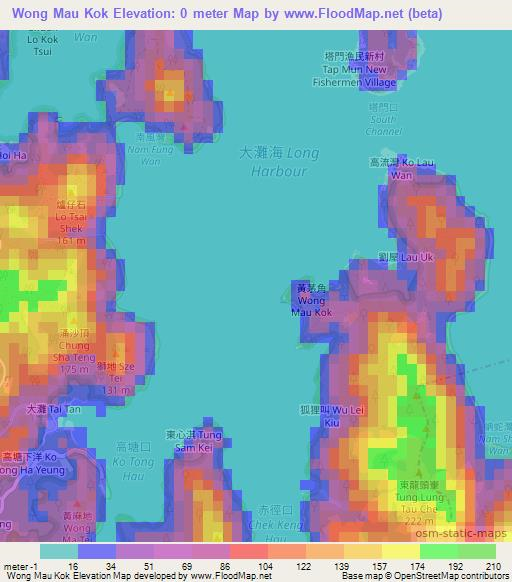 Wong Mau Kok,Hong Kong Elevation Map