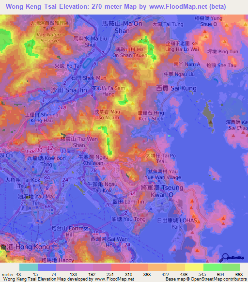 Wong Keng Tsai,Hong Kong Elevation Map