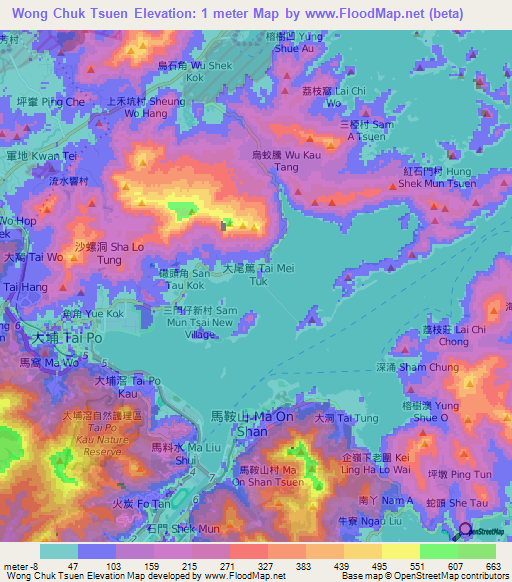 Wong Chuk Tsuen,Hong Kong Elevation Map