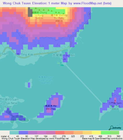 Wong Chuk Tsuen,Hong Kong Elevation Map