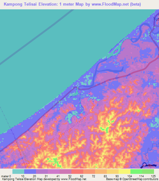 Kampong Telisai,Brunei Elevation Map