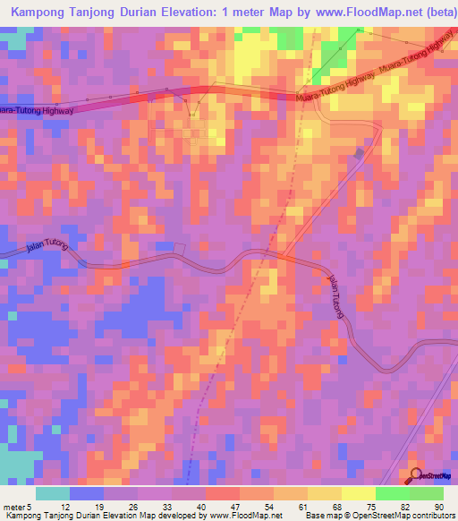 Kampong Tanjong Durian,Brunei Elevation Map