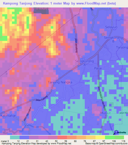 Kampong Tanjong,Brunei Elevation Map