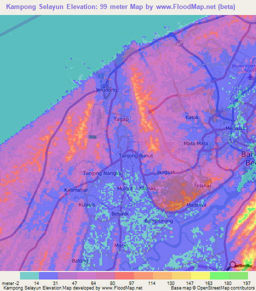 Kampong Selayun,Brunei Elevation Map