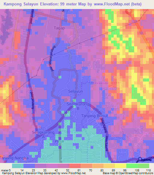 Kampong Selayun,Brunei Elevation Map