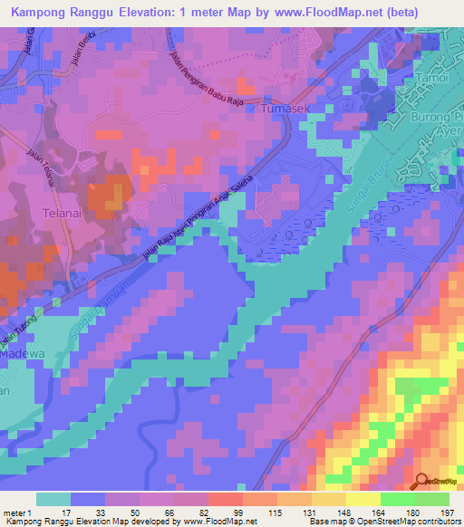 Kampong Ranggu,Brunei Elevation Map