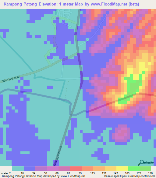 Kampong Patong,Brunei Elevation Map