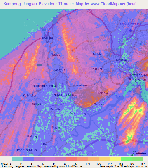 Kampong Jangsak,Brunei Elevation Map