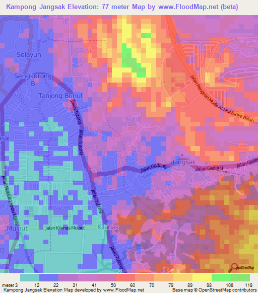 Kampong Jangsak,Brunei Elevation Map